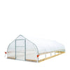 3.7 x 9 m Tunnel Greenhouse Grow Tent with 6 Mil Clear EVA Film, Roll-Up Sides, TMG-GH1230