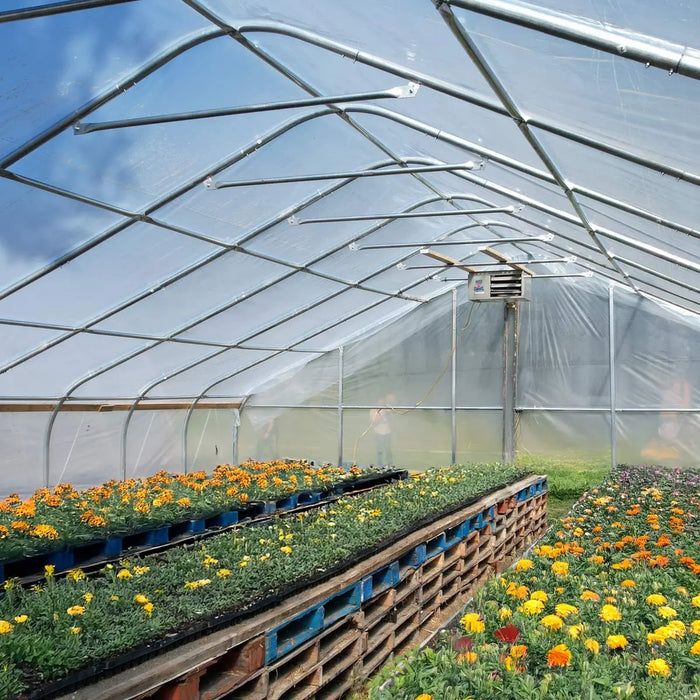 30' x 100' Commercial Tunnel Greenhouse with 6 Mil Clear Poly Covers and Roll-Up Sides TMG-GH30100 - TMG Industrial