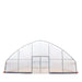 TMG Industrial 30’ x 60’ Tunnel Greenhouse Grow Tent w/6 Mil Clear EVA Plastic Film, Cold Frame, Hand Crank Roll-Up Sides, Peak Ceiling Roof, TMG-GH3060