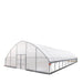 TMG Industrial 30’ x 60’ Tunnel Greenhouse Grow Tent w/6 Mil Clear EVA Plastic Film, Cold Frame, Hand Crank Roll-Up Sides, Peak Ceiling Roof, TMG-GH3060