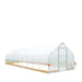TMG Industrial 12’ x 40’ Tunnel Greenhouse Grow Tent w/6 Mil Clear EVA Plastic Film, Cold Frame, Hand Crank Roll-Up Sides, Peak Ceiling Roof, TMG-GH1240