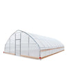25' x 40' Tunnel Greenhouse Grow Tent w/6 Mil Clear EVA Plastic Film, Cold Frame, Hand Crank Roll-Up Sides, Peak Ceiling Roof, TMG-GH2540