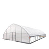30' x 50' Commercial Tunnel Greenhouse with 6 Mil Clear Poly Covers and Roll-Up Sides TMG-GH3050